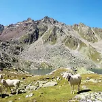 Nadine-1 By Interhome * Sölden