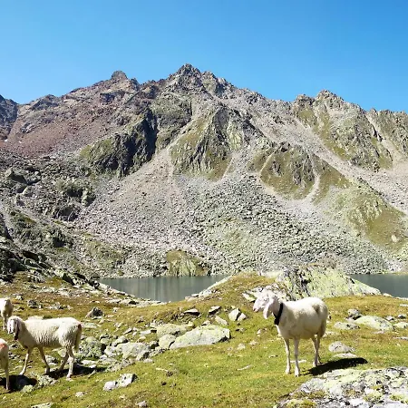 Nadine-1 By Interhome * Ζόλντεν